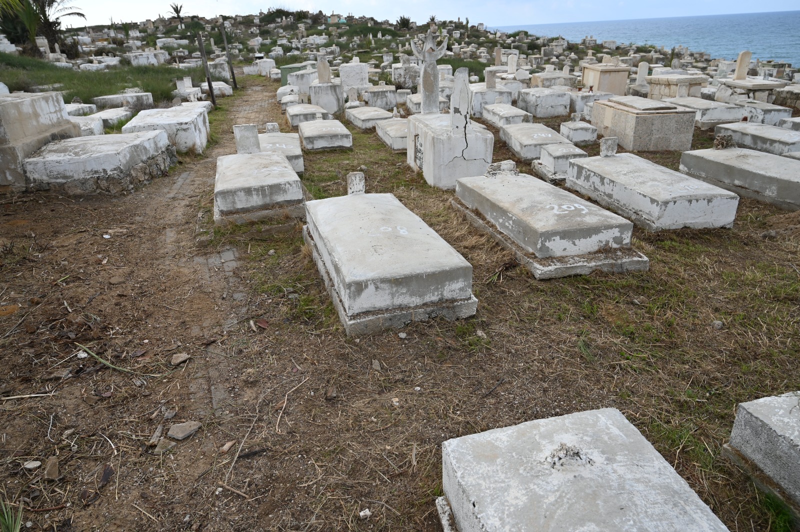 WhatsApp Image 2022-11-30 at 3.24.59 PM.jpeg